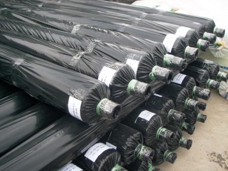 filme de mulch preto